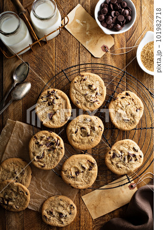 Homemade chocolate chip cookies with milk 101982718