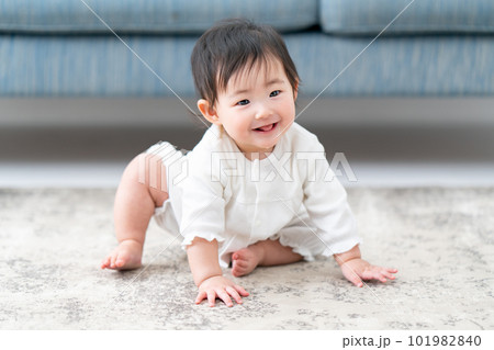 赤ちゃん　ベビー　子育て 101982840