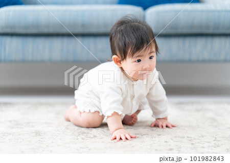 赤ちゃん ベビー 子育て 赤ちゃん ベビー 子育て 101982843