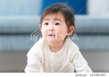 赤ちゃん ベビー 子育て 赤ちゃん ベビー 子育て 101982847