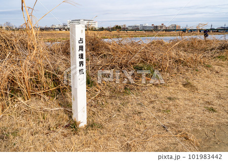 河川敷の占用境界杭 101983442