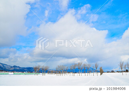 冬の夏井のはさ木(新潟県) 冬の夏井のはさ木(新潟県) 101984006