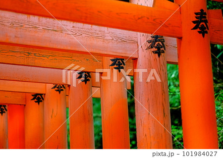 鳥居 鳥居 101984027