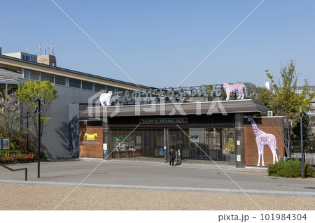 開園前の天王寺動物園の入口(2023年4月1日撮影) 開園前の天王寺動物園の入口(2023年4月1日撮影) 101984304