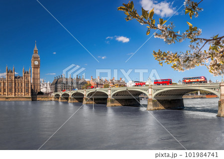 Famous Big Ben with red buses on bridge over Thames river during springtime in London, England, UK Famous Big Ben with red buses on bridge over Thames river during springtime in London, England, UK 101984741