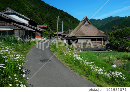 美山 かやぶきの里 美山 かやぶきの里 101985071