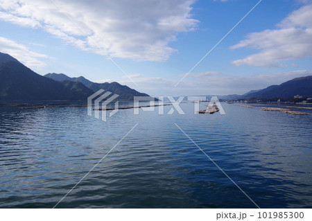 広島県宮島周辺の牡蠣棚　穏やかな瀬戸内海　牡蠣の養殖 101985300