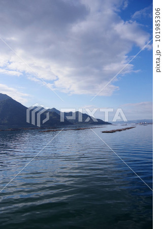 広島県宮島周辺の牡蠣棚　穏やかな瀬戸内海　牡蠣の養殖 101985306