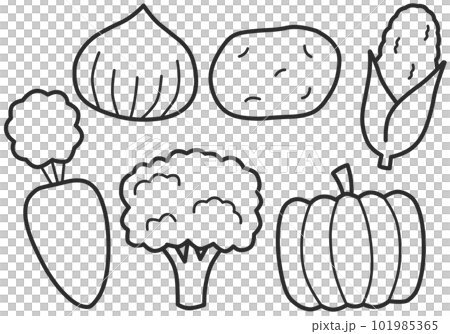 vegetable coloring page 101985365