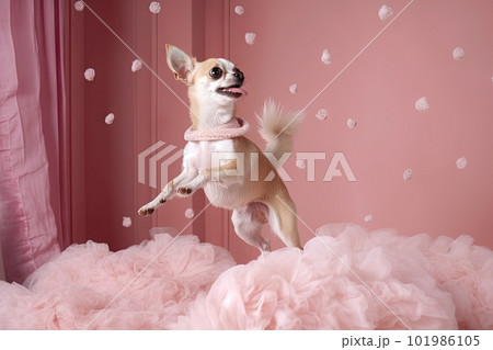 Cute chihuahua puppy jumping in the pink room. Tiny dog soaring in light veil and tulle. Generated AI. Cute chihuahua puppy jumping in the pink room. Tiny dog soaring in light veil and tulle. Generated AI. 101986105