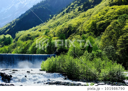 白馬 南股入 白馬 南股入 101986790