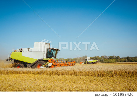 Combine harvester on the wheat field Combine harvester on the wheat field 101988426