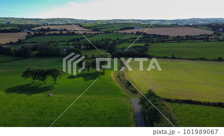 farm fields, top view. Agricultural landscape in summer. Grass fields and trees. Green grass field with trees farm fields, top view. Agricultural landscape in summer. Grass fields and trees. Green grass field with trees 101989067
