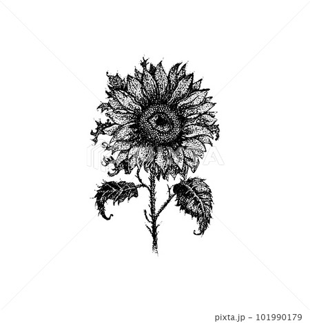 101 Marvelous Sunflower Tattoo Designs To Consider Before Getting Inked   Psycho Tats