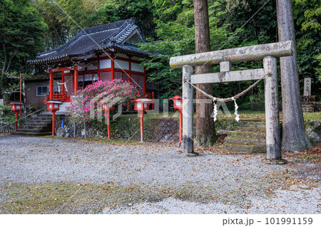 君が代発祥の地 大宮神社 君が代発祥の地 大宮神社 101991159