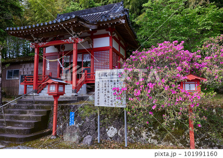 君が代発祥の地　大宮神社 101991160