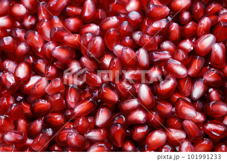 柘榴テクスチャ 101991233