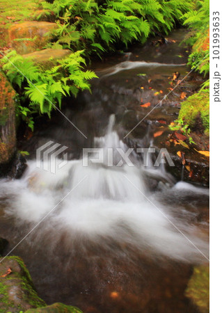 景色 風景 自然 101993633