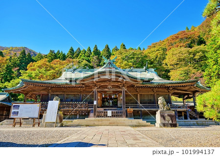 函館八幡宮の風景 函館八幡宮の風景 101994137