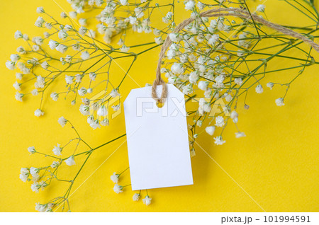 A white tag with a thread on a bright blue background in a bouquet of gypsophila flowers. 101994591