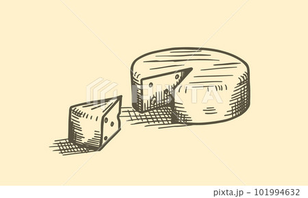 A head of cheese and a sliced piece hand drawn sketch vector illustration. 101994632