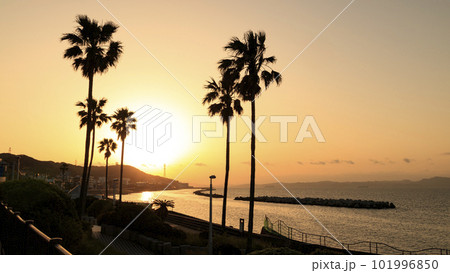 海から登る朝日 海から登る朝日 101996850