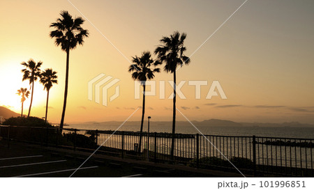 海から登る朝日 101996851