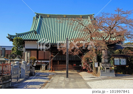 十念寺（川越） 101997841