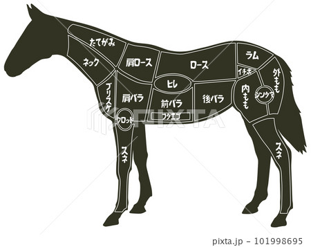 馬肉の部位 101998695