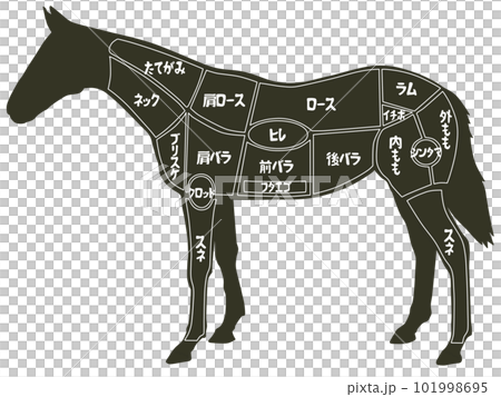 馬肉の部位 101998695