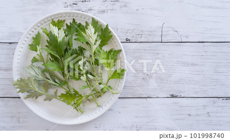 お皿の上のヨモギの葉　白い木目背景 101998740