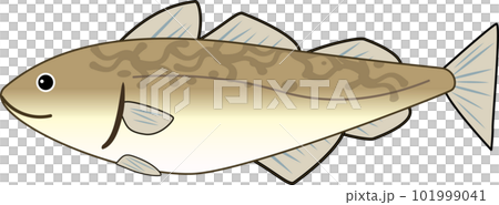 可愛的鱈魚插畫 101999041