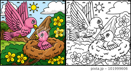 Mothers Day Mama and Baby Bird Illustrationのイラスト素材 [101999606] - PIXTA