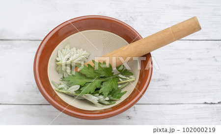 ヨモギをすり鉢で潰す　イメージ 102000219