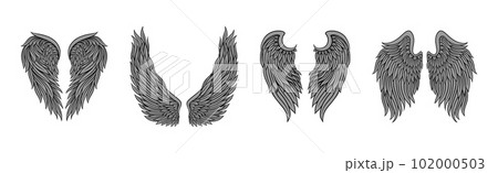 Heraldic Wings with Feathers Isolated on White Background Vector Set Heraldic Wings with Feathers Isolated on White Background Vector Set 102000503