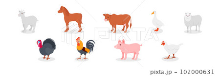 Farm Animal with Goat, Horse, Cow, Sheep and Poultry Vector Set 102000631