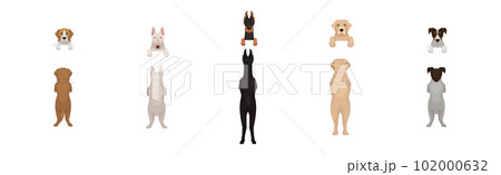 Dogs of Different Breeds Standing on Hind Legs Front and Back Vector Set 102000632