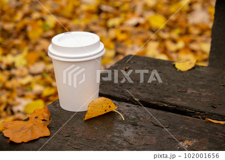 Eco zero waste white paper cup copy space mockup in wooden bench in park. Fall leaves and cup of tea coffee to go next to autumn nature. Unite with nature Eco zero waste white paper cup copy space mockup in wooden bench in park. Fall leaves and cup of tea coffee to go next to autumn nature. Unite with nature 102001656