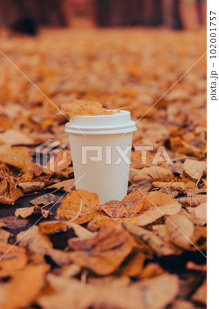 Eco zero waste white paper cup copy space mockup. Fall leaves and cup of tea coffee to go next to autumn nature. Unite with nature Eco zero waste white paper cup copy space mockup. Fall leaves and cup of tea coffee to go next to autumn nature. Unite with nature 102001757