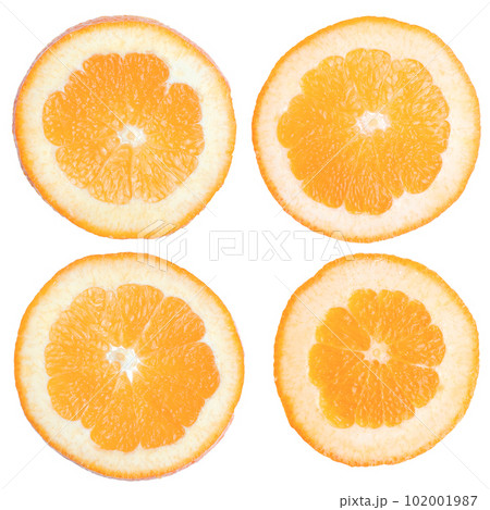Orange slices 102001987