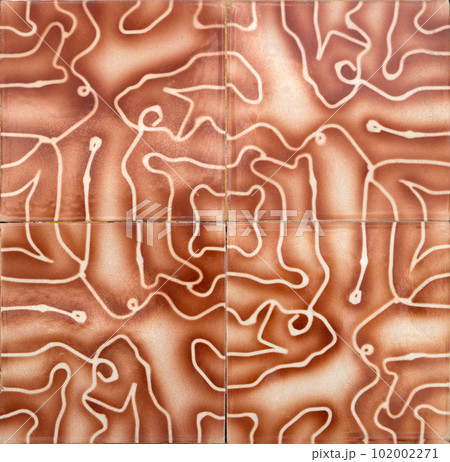 Traditional Portuguese glazed tiles Traditional Portuguese glazed tiles 102002271