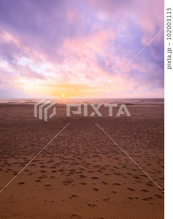 Seascape of Torreira beach during the sunset 102003115