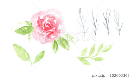 Watercolor delicate pink rose composition with green leaves, gray twigs. Beautiful watercolour illustration of roses flower for invitation, wedding, greeting cards design, sticker Watercolor delicate pink rose composition with green leaves, gray twigs. Beautiful watercolour illustration of roses flower for invitation, wedding, greeting cards design, sticker 102003305