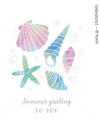 貝がらやヒトデの夏のグリーティングカード／ポストカードサイズ 102004945