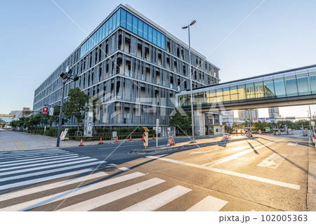 東京都江東区　快晴の豊洲市場　（水産卸売場棟） 102005363