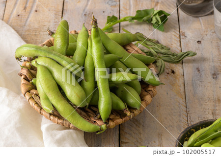 Fresh and raw green broad beans 102005517