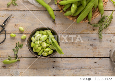 Fresh and raw green broad beans 102005522