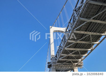 青空に映えるレインボーブリッジを見上げる 102006840