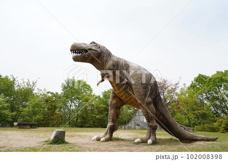 公園の恐竜 102008398