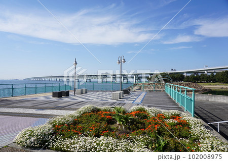 りんくう公園 関空橋 りんくう海 りんくう公園 関空橋 りんくう海 102008975